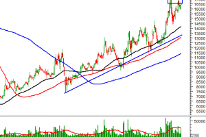 ĐẦU TUẦN MỚI, TVC TIẾP TỤC TRONG TOP 10 MÃ CỔ PHIẾU ĐƯỢC KHUYẾN NGHỊ